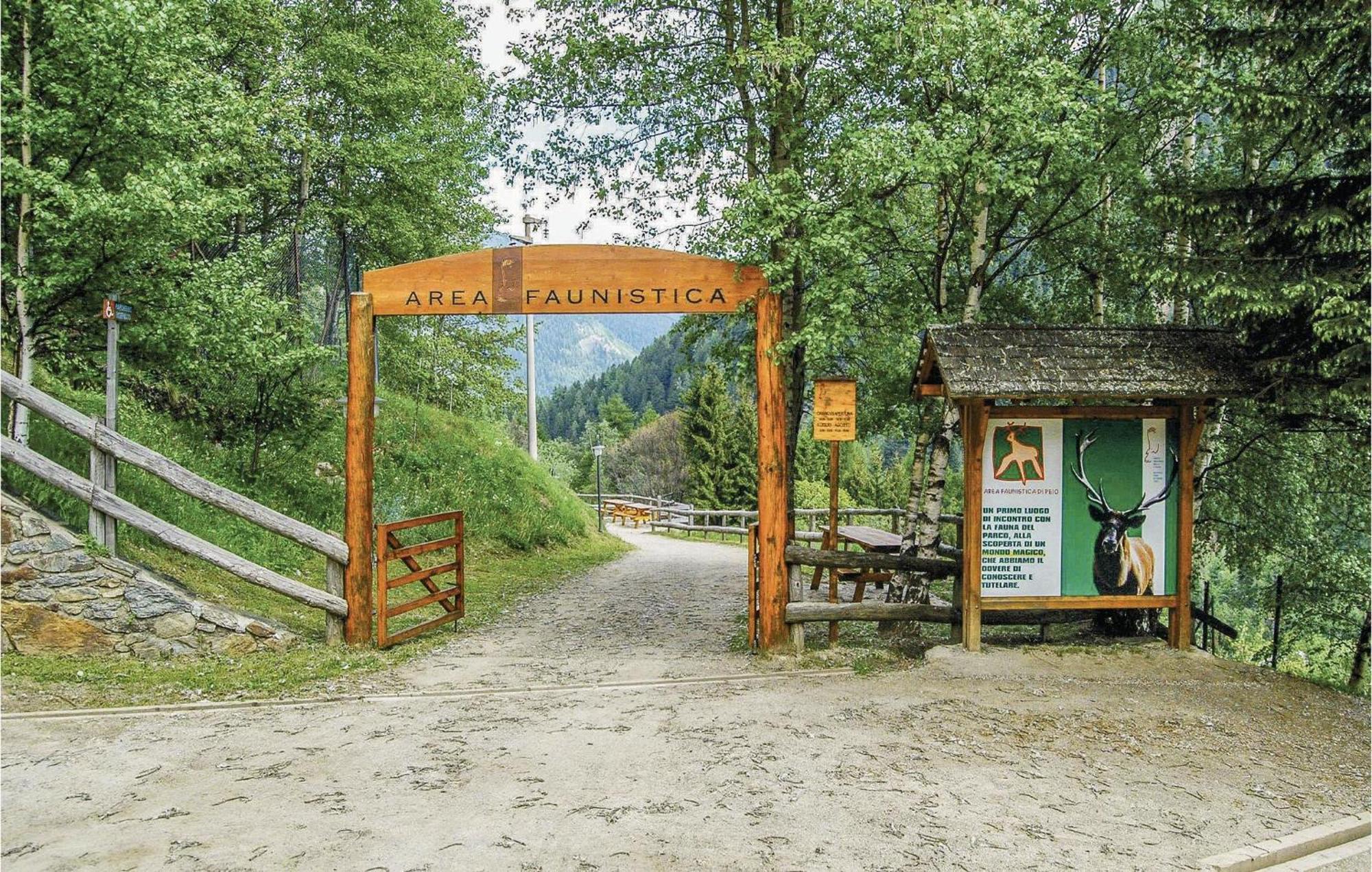 Maso Roncal Villa Пейо Екстериор снимка